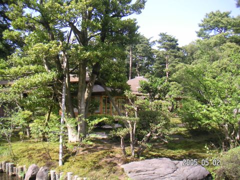 s_pict0145.jpg